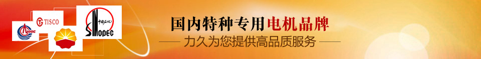 力久——特種專(zhuān)用電機(jī)品牌！