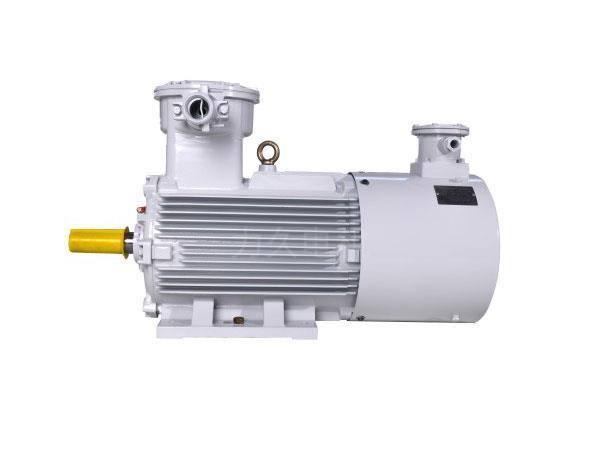 YBBPX3系列高效率隔爆型變頻調(diào)速三相異步電動機 YBBPX3系列高效率隔爆型變頻調(diào)速三相異步電動機