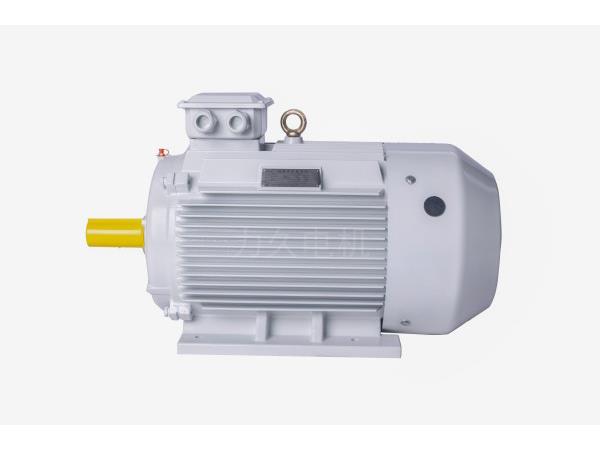YE5(IE5)系列三相異步電動(dòng)機(jī) YE5(IE5)系列三相異步電動(dòng)機(jī)
