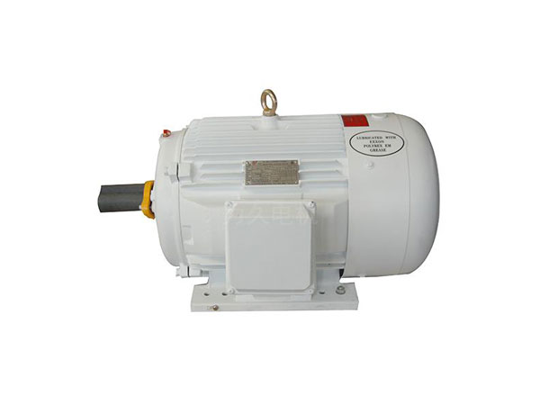 NEMA標(biāo)準(zhǔn)三相異步電動(dòng)機(jī)(D設(shè)計(jì)、油井泵專用電機(jī))